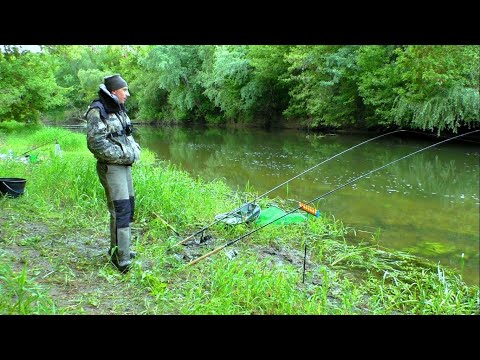 Видео: По коліна у болоті. Важка рибалка на Горині. Рибу все таки знайшли!