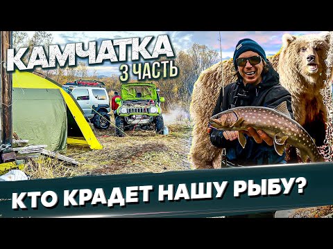 Видео: Кто ворует НАШУ РЫБУ? ЗВЕРИ рядом. Рыбалка с #OnlySpin