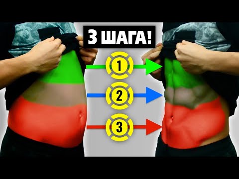 Видео: Как СЖЕЧЬ упрямый ЖИР НА ЖИВОТЕ в 3 шага! СКОЛЬКО нужно ВРЕМЕНИ