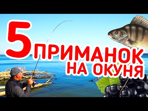 Видео: РЫБАЛКА НА 5 ПРИМАНОК! Рыба с каждого заброса! Ловля на микроджиг с берега