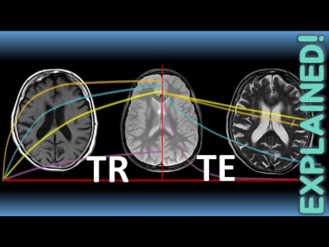Видео: ОБЪЯСНЕНИЕ ТР, ТЕ И МРТ-ВЗВЕШИВАНИЯ (T1, T2, PD) | Лекция 7 по курсу физики МРТ