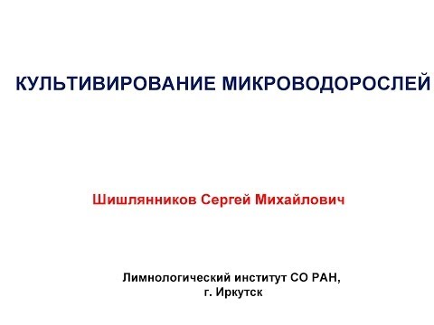 Видео: Культивирование микроводорослей (Лимнологический институт СО РАН)