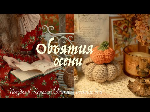 Видео: Уютная осень | Семейное путешествие в Карелию