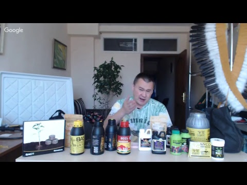 Видео: #Аутдор, возвращение Бизнес План и хороший микрофон