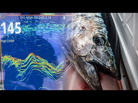 Видео: Осваиваем морскую электронику: как использовать эхолот, чтобы поймать больше тунца
