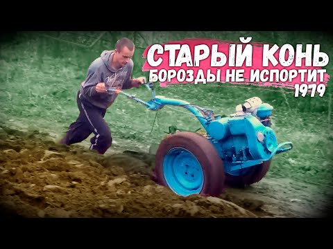 Видео: МОТОБЛОК МТЗ - он, что вечный? 41 год в строю без поломок.