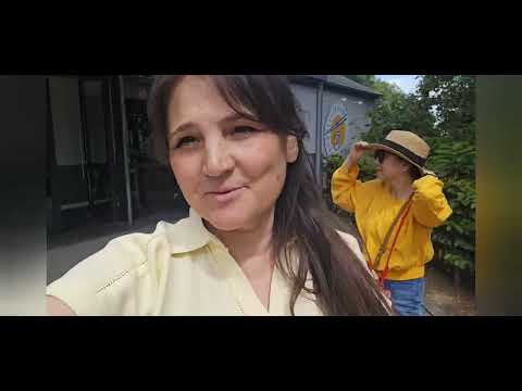 Видео: Путевые заметки. Рюдесхайм-на-Рейне, Германия. Полет над виноградником