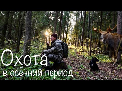 Видео: ОХОТА НА РЯБЧИКА С МАНКОМ. ЛОСЬ ХОДИТ РЯДОМ. Спаниель на страже