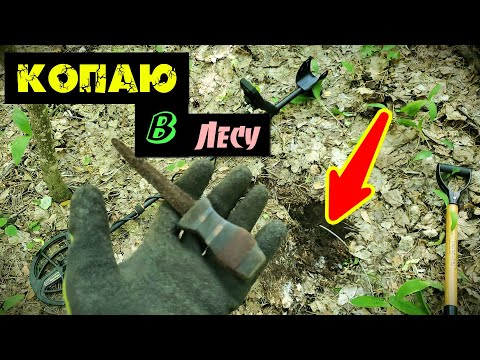 Видео: Много находок с Skycruiser s63. Лес