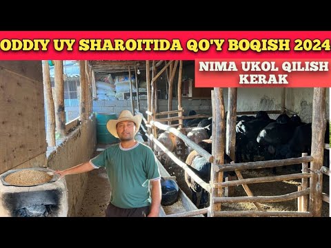 Видео: КУЙ БОКИБ 1-ОЙДА 500$ ДАРОМАТ КИЛИШ УСЛУБИ УЙ ШАРОИТА 😱😱