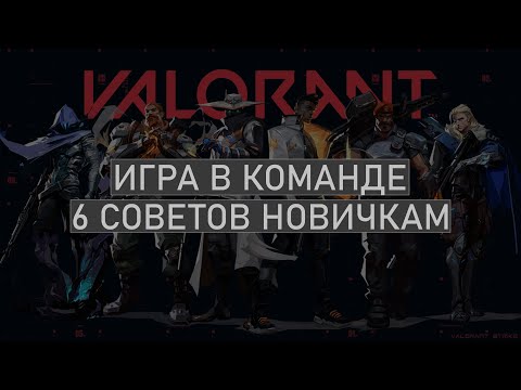 Видео: Игра в команде, 6 советов новичкам