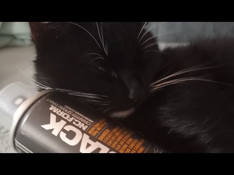 Видео: теггинг осенью/теггинг/wemos