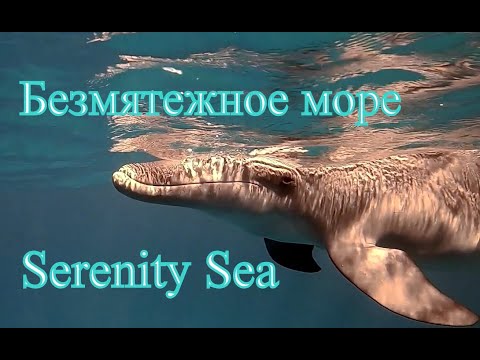 Видео: Безмятежное море/Serenity Sea