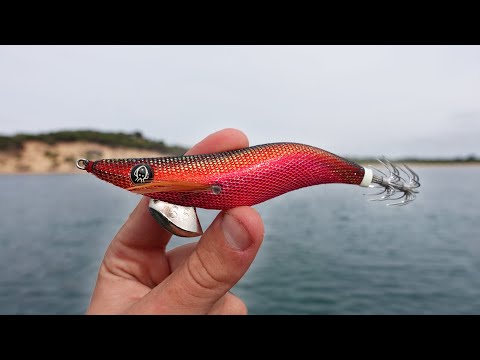 Видео: Эта наживка для кальмаров никогда не подводит!?!