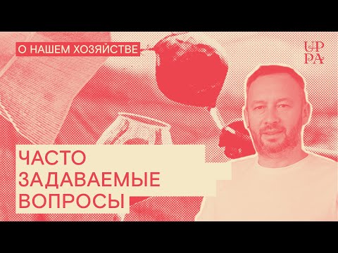 Видео: Часто задаваемые вопросы.