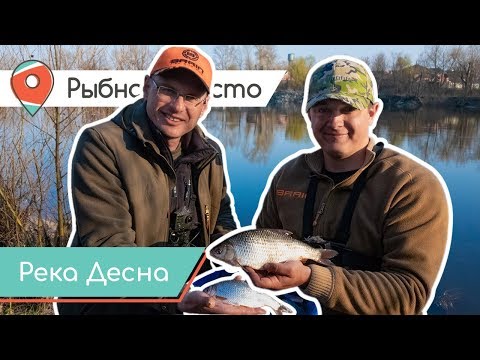 Видео: Рыбное место. Опоздавшие на плотву. Рыбалка на фидер весной.