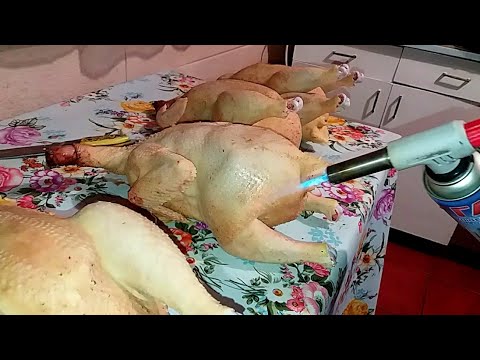 Видео: 💰💲Заработать на Птице💲💰Еще один метод Приумножить Капитал на хозяйстве