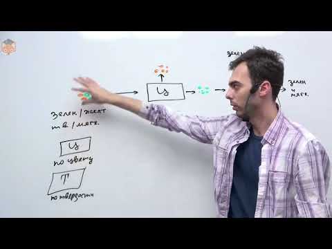 Видео: Суперпозиция простыми словами