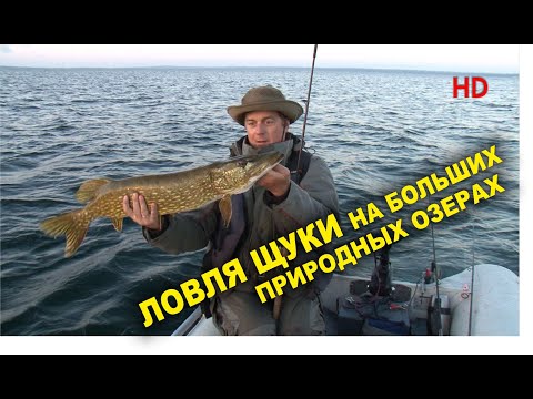 Видео: ЛОВЛЯ ЩУКИ НА БОЛЬШИХ ПРИРОДНЫХ ОЗЕРАХ. "АЗБУКА РЫБАЛКИ с братьями Щербаковыми HD"