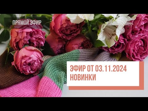 Видео: Two hands - обзор новинок, эфир от 03.11.2024