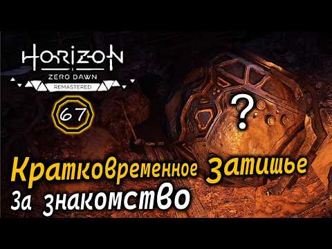 Видео: HORIZON Zero Dawn Ремастер | Кратковременное затишье | За знакомство