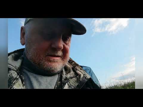 Видео: Охота с собаками на Барсука 🦡🤫