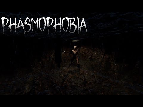 Видео: Phasmophobia- Енотик потерялся