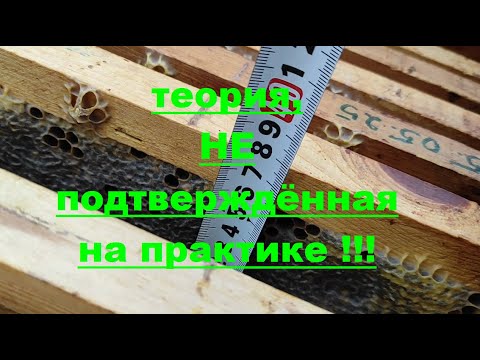 Видео: ПОДРАМОЧНОЕ ПРОСТРАНСТВО И ВНУТРЕННИЕ РАЗМЕРЫ УЛЬЯ !!! ЧТО НЕ ПРАВИЛЬНО ??? ПОСТУЛАТ 19-го ВЕКА !!!