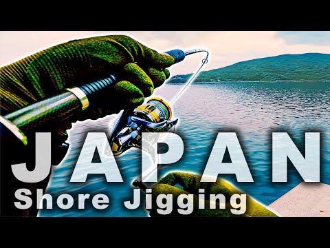 Видео: Чудо последнего заброса: неожиданный амберджек прямо перед сбором снастей!