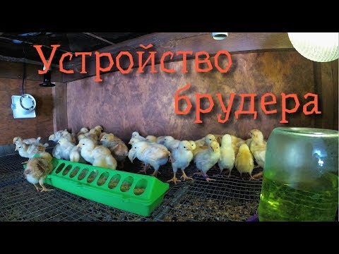 Видео: Устройство брудера//Устранил недостатки