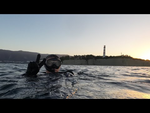 Видео: Горбыли и крабы на подводной охоте. 35-й день сушки. (05.10.24.)