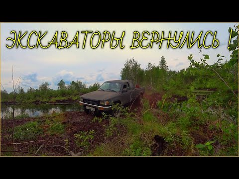 Видео: Возвращение копа с экскаваторами. Выбитых мест еще нет!