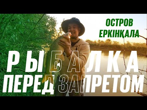 Видео: Остров Еркінқала: финальная рыбалка перед запретом - что поймали?