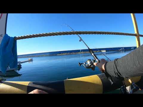 Видео: 23.10.2k21. Адлер. Сочи. Рыбалка ..