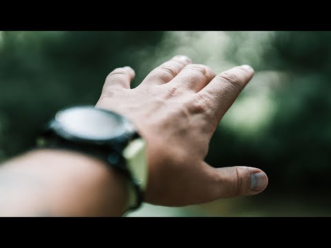 Видео: Лови КРУТЫЕ КАДРЫ, а не КЛЕЩЕЙ // Как мы снимали в лесу