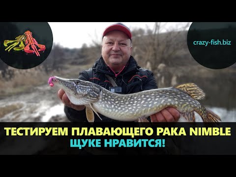 Видео: Щука на плавающего рака в конце зимы. Тестируем новый Crazy Fish Nimble. Спиннинг с берега