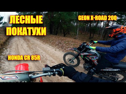 Видео: Пылесосим леса на мотах / Honda CR 85r / Geon X-road 200 (конец февраля)