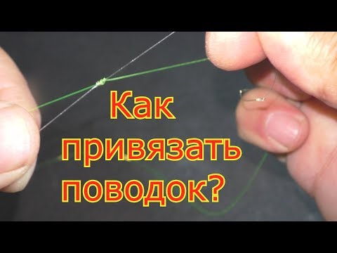 Видео: Как привязать поводок ,чтобы не путался? Простой способ.