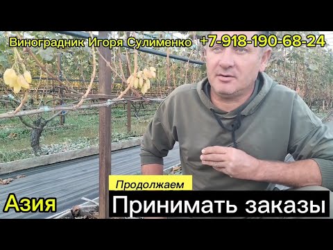 Видео: Азия (Калугин) - необычная ягода...и не только про неё 😊