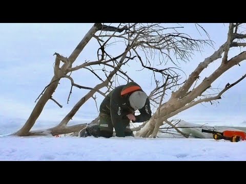 Видео: УХ! ПРОБУРИЛ ЛУНКУ ПОД ОГРОМНОЙ КОРЯГОЙ. Рыбалка на Нижней Волге