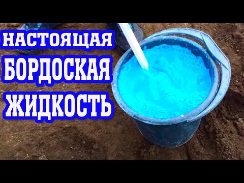 Видео: Настоящая бордоская жидкость / Рецепт от Дедушки / real Bordeaux liquid do it yourself