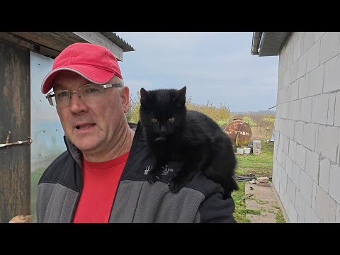 Видео: Люди,не верят что, в деревне жить легко, если ты этого захочешь!