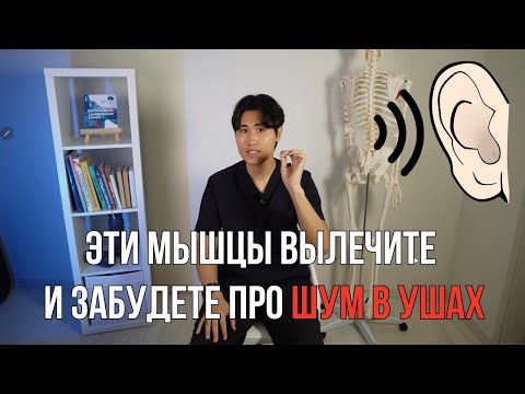 Видео: Вылечите эти мышцы и забудете про ШУМ В УШАХ