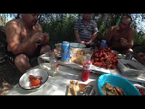 Видео: Открытие охоты на утку 2023г