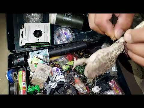 Видео: Снова Кызылорда канал змейголов