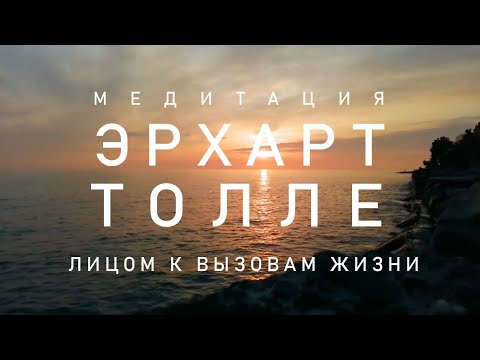 Видео: ЛИЦОМ К ВЫЗОВАМ ЖИЗНИ  ЭКХАРТ ТОЛЛЕ Живи Сейчас