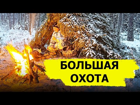 Видео: Большая охота. (Охотник и рыболов)