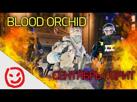Видео: Дьявол братской кухни | Rainbow Six Siege
