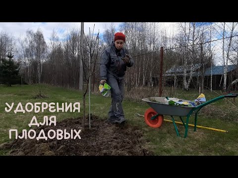 Видео: Подкормка яблонь весной. Вносим удобрения в почву.