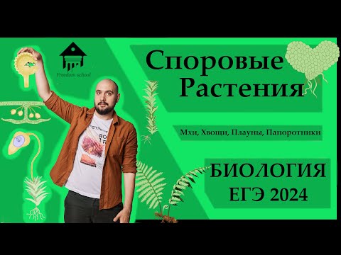 Видео: Споровые растения - МХИ, ХВОЩИ, ПЛАУНЫ, ПАПОРОТНИКИ для ЕГЭ 2024 |ЕГЭ БИОЛОГИЯ|Freedom|